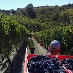 Casa de hóspedes Cà Trifolera - Tripla Con Bagno - In Romantico Cascinale Nei Vigneti Con Cantina