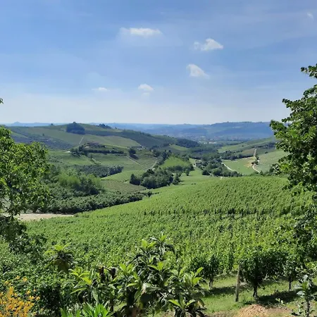 בית הארחה Ca Trifolera - Tripla Con Bagno - In Romantico Cascinale Nei Vigneti Con Cantina ברברסקו