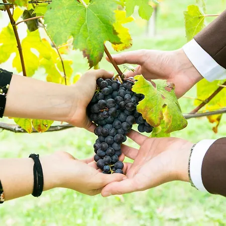 Ca Trifolera - Tripla Con Bagno - In Romantico Cascinale Nei Vigneti Con Cantina 3*