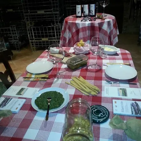 Ca Trifolera - Tripla Con Bagno - In Romantico Cascinale Nei Vigneti Con Cantina 3* ברברסקו