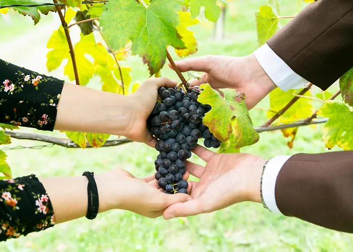 Cà Trifolera - Tripla Con Bagno - In Romantico Cascinale Nei Vigneti Con Cantina 3*