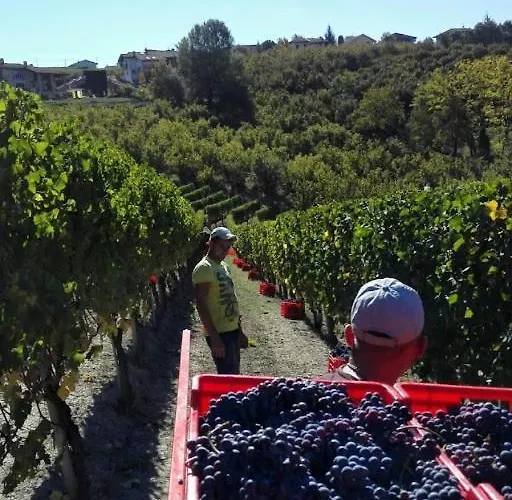 Pensjonat Ca Trifolera - Tripla Con Bagno - In Romantico Cascinale Nei Vigneti Con Cantina